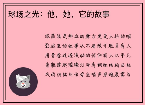 球场之光：他，她，它的故事